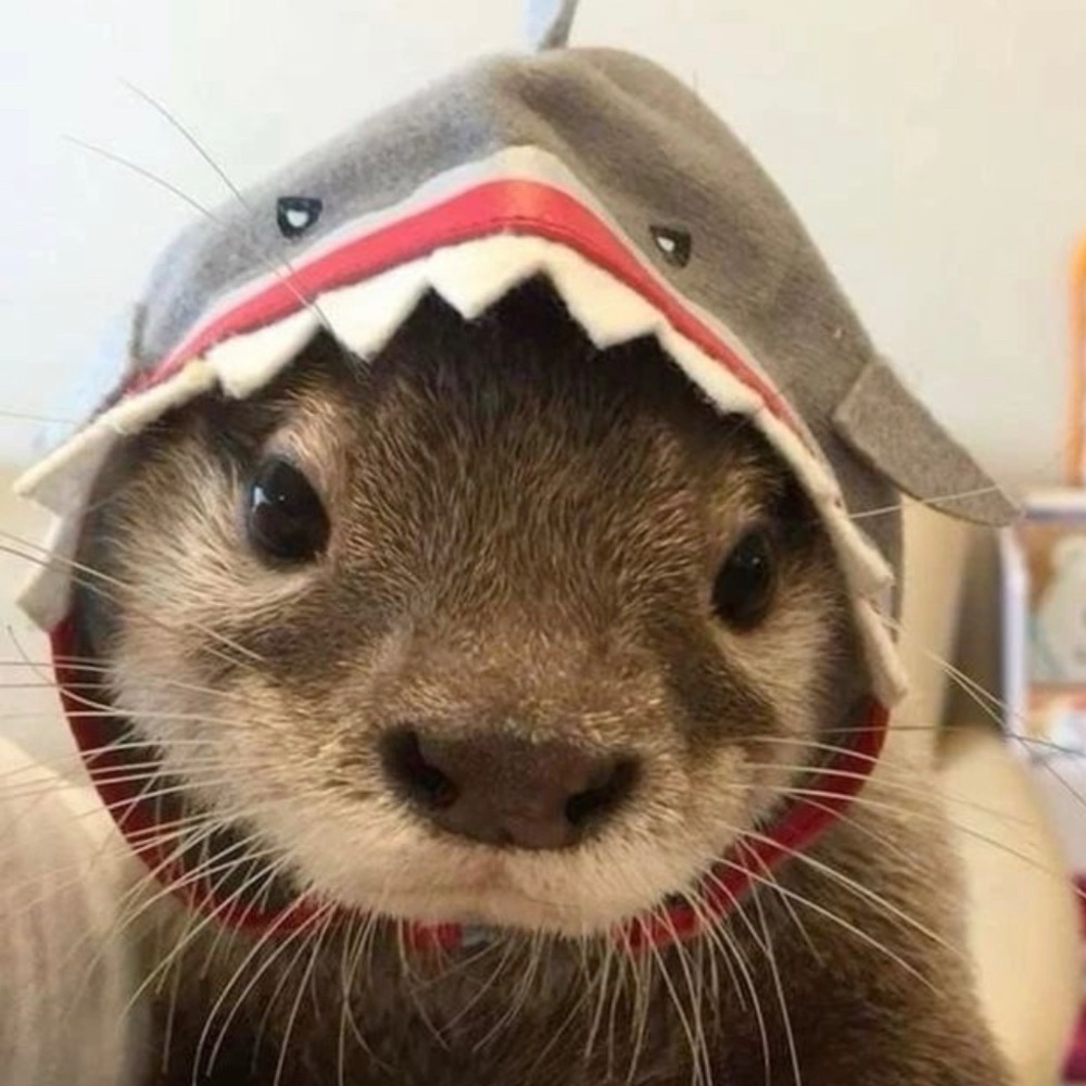 Meet your Posher, Tiffany123